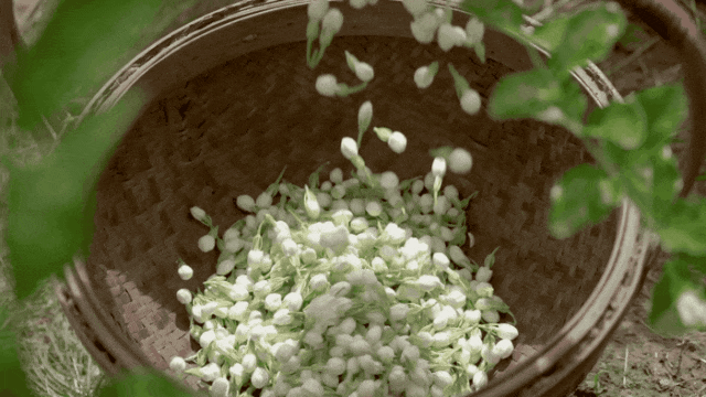 就被抢空的牌子这次居然100+就能拥有AG真人国际网站真爱大牌返场 一上线(图5)